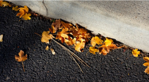 https://pixabay.com/en/leaves-blacktop-curb-asphalt-road-543492/