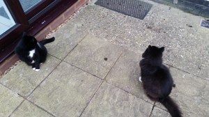 This is as close as they get to each other.